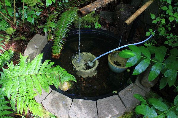 pond with filtered water