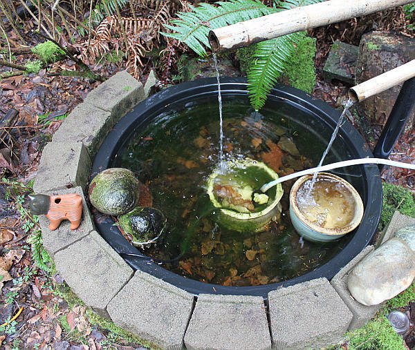 pond filter image