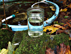 filtered pond water