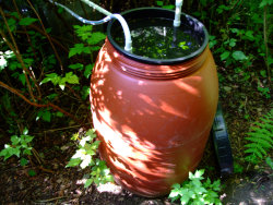A pond filter using a slow sand filter